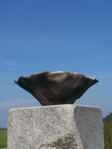 100_8119