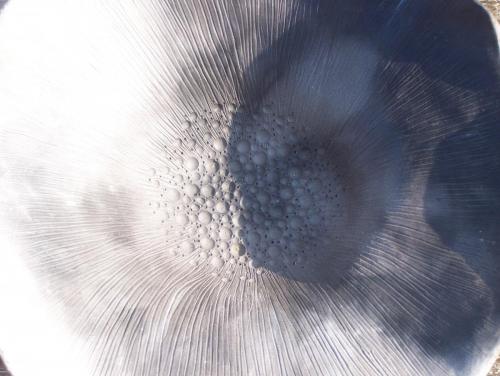 100_8133